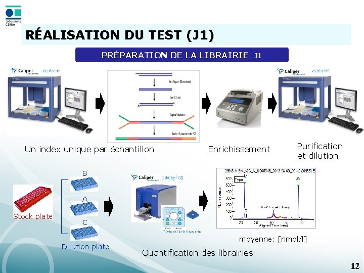 RÉALISATION DU TEST (J 1) PRÉPARATION DE LA LIBRAIRIE J 1 Enrichissement Un index