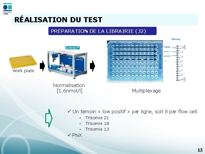 RÉALISATION DU TEST PRÉPARATION DE LA LIBRAIRIE (J 2) Work plate Normalisation [1, 6