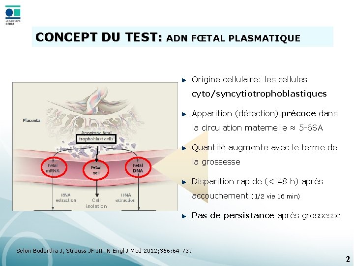 CONCEPT DU TEST: ADN FŒTAL PLASMATIQUE Origine cellulaire: les cellules cyto/syncytiotrophoblastiques Apparition (détection) précoce