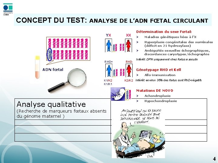 CONCEPT DU TEST: ANALYSE DE L’ADN FŒTAL CIRCULANT YX RHD+ ADN fœtal XX RHD-