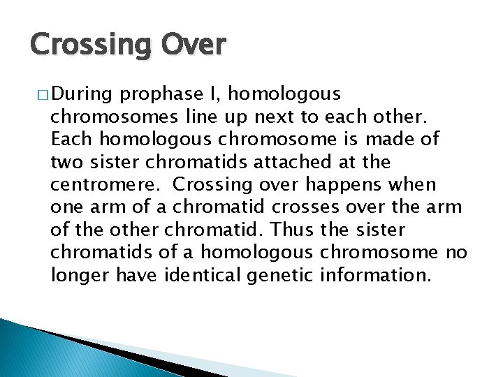 Crossing Over � During prophase I, homologous chromosomes line up next to each other.