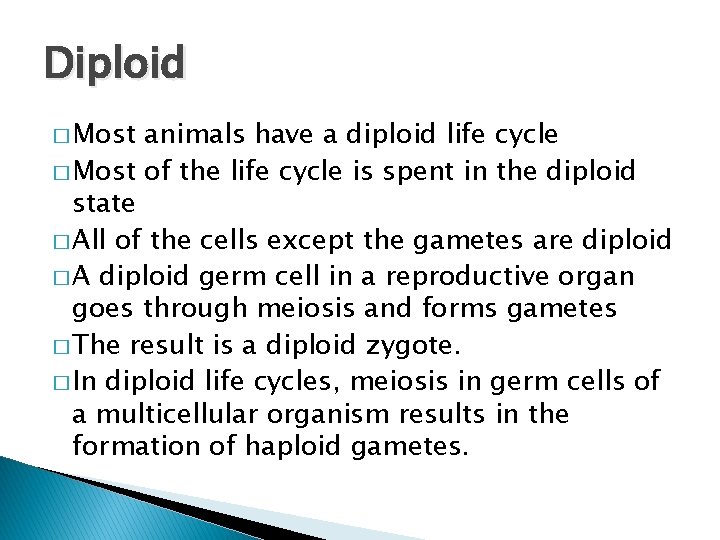 Diploid � Most animals have a diploid life cycle � Most of the life