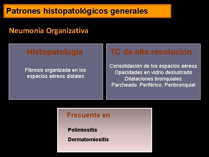 Patrones histopatológicos generales Neumonía Organizativa Histopatología Fibrosis organizada en los espacios aéreos distales TC