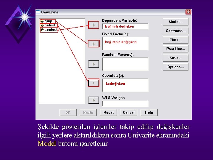 Şekilde gösterilen işlemler takip edilip değişkenler ilgili yerlere aktarıldıktan sonra Univarite ekranındaki Model butonu