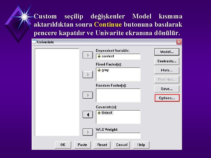 Custom seçilip değişkenler Model kısmına aktarıldıktan sonra Continue butonuna basılarak pencere kapatılır ve Univarite