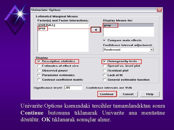 Univarite: Options kısmındaki tercihler tamamlandıktan sonra Continue butonuna tıklanarak Univarite ana menüsüne dönülür. OK