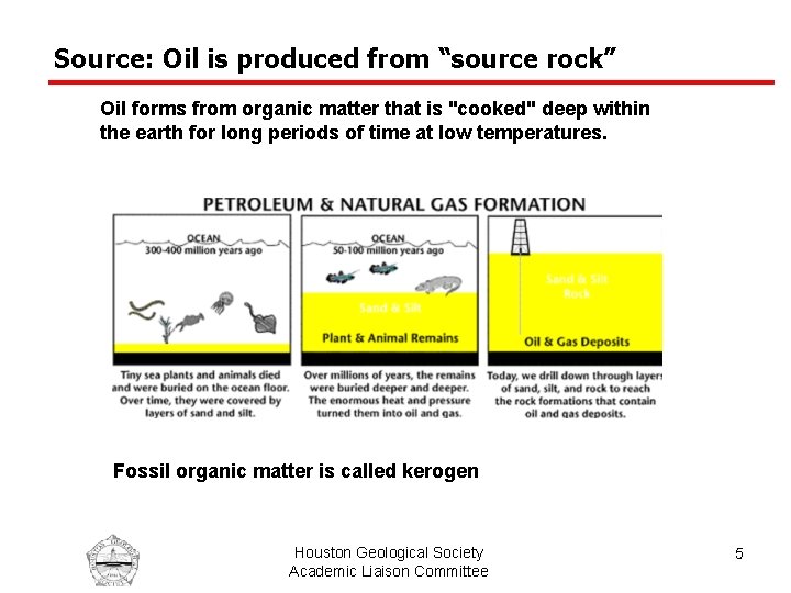 Source: Oil is produced from “source rock” Oil forms from organic matter that is