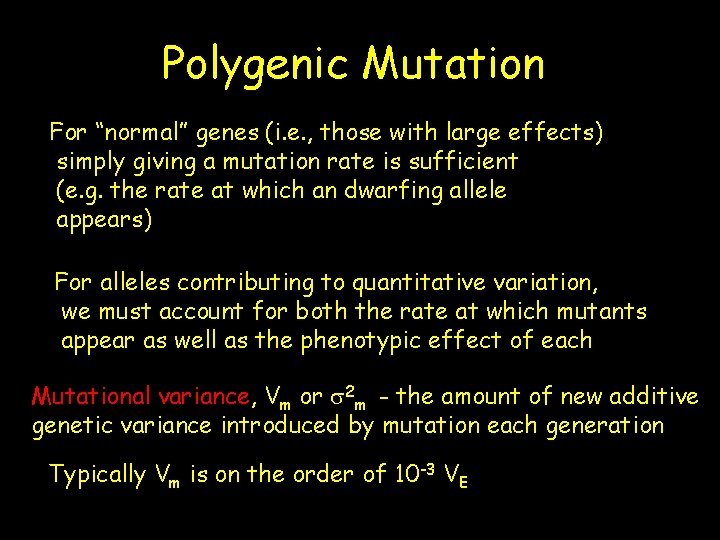 Polygenic Mutation For “normal” genes (i. e. , those with large effects) simply giving