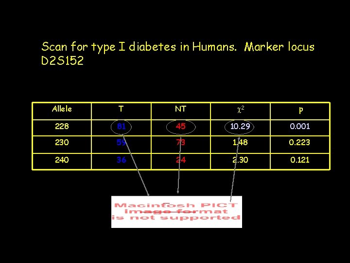 Scan for type I diabetes in Humans. Marker locus D 2 S 152 Allele