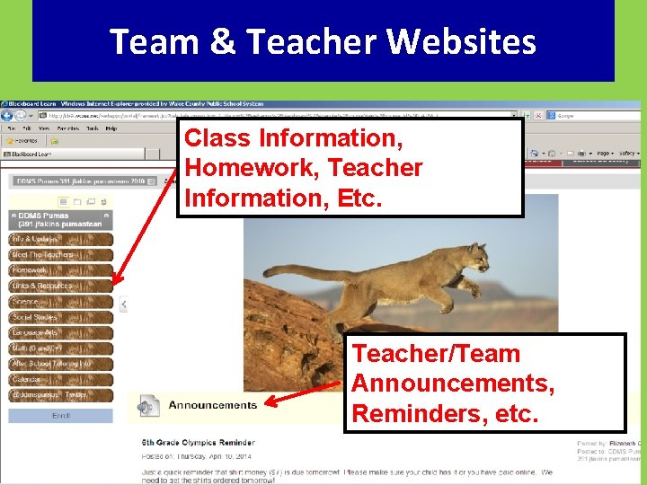 Team & Teacher Websites Class Information, Homework, Teacher Information, Etc. Teacher/Team Announcements, Reminders, etc.