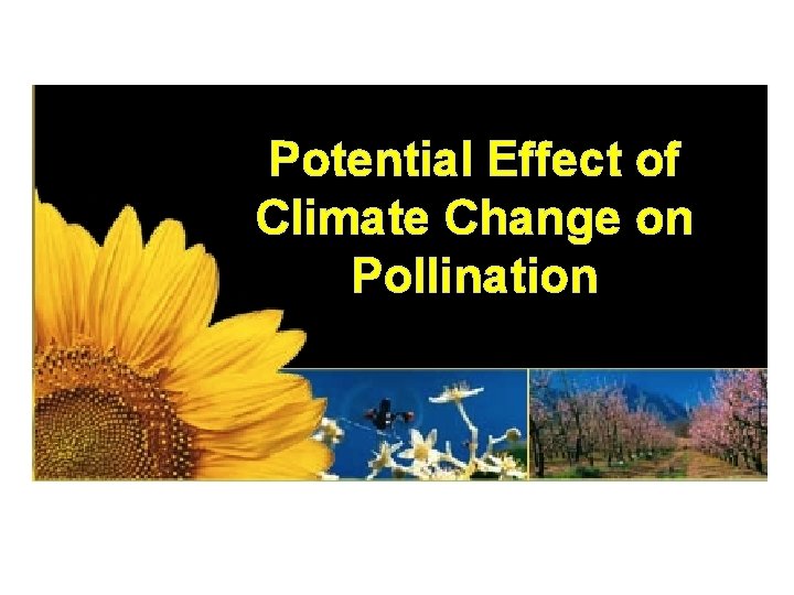 Potential Effect of Climate Change on Pollination 