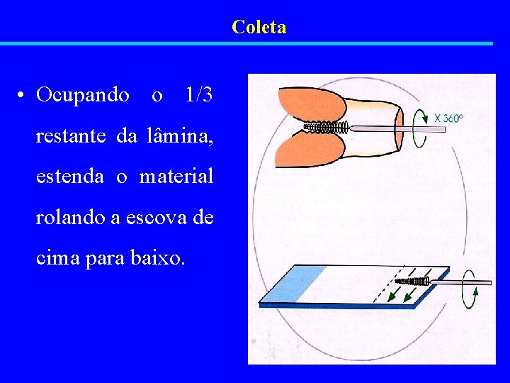 Coleta • Ocupando o 1/3 restante da lâmina, estenda o material rolando a escova