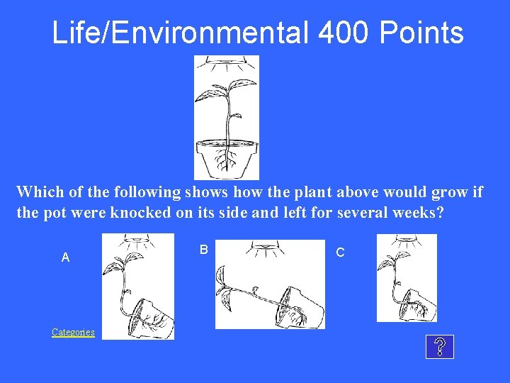 Life/Environmental 400 Points Which of the following shows how the plant above would grow