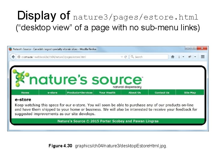 Display of nature 3/pages/estore. html (“desktop view” of a page with no sub-menu links) Display of nature 3/pages/estore. html (“desktop view” of a page with no sub-menu links)