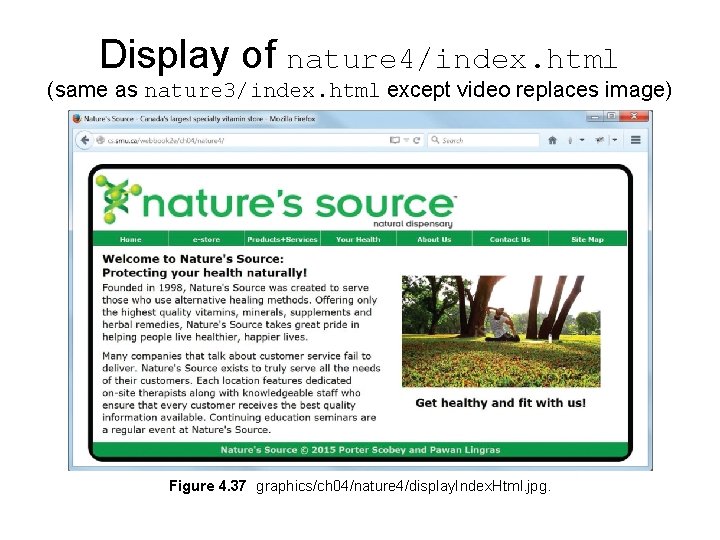 Display of nature 4/index. html (same as nature 3/index. html except video replaces image) Display of nature 4/index. html (same as nature 3/index. html except video replaces image)