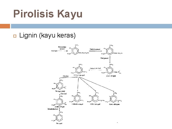 Pirolisis Kayu Lignin (kayu keras) 
