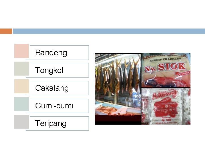 Bandeng Tongkol Cakalang Cumi-cumi Teripang 