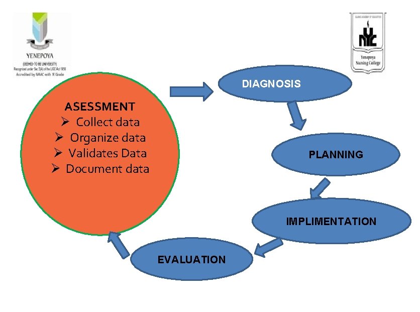 DIAGNOSIS ASESSMENT Ø Collect data Ø Organize data Ø Validates Data Ø Document data