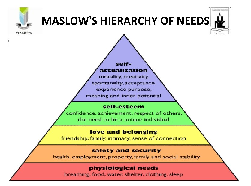 MASLOW'S HIERARCHY OF NEEDS 