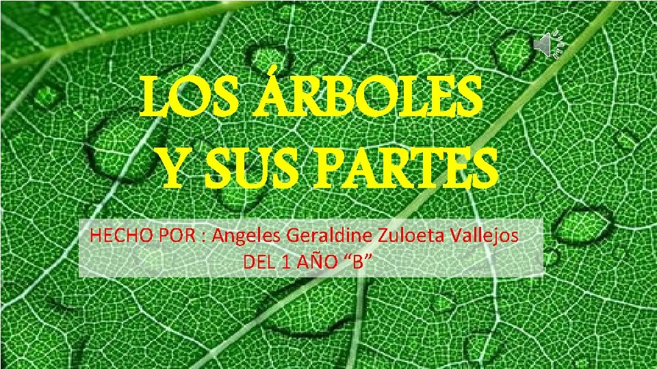 LOS ÁRBOLES Y SUS PARTES HECHO POR : Angeles Geraldine Zuloeta Vallejos DEL 1