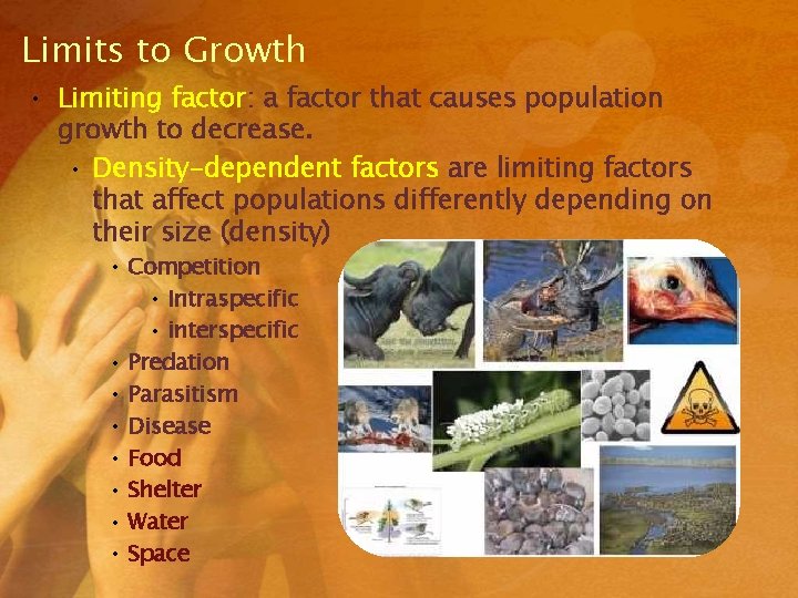 Limits to Growth • Limiting factor: a factor that causes population growth to decrease. Limits to Growth • Limiting factor: a factor that causes population growth to decrease.