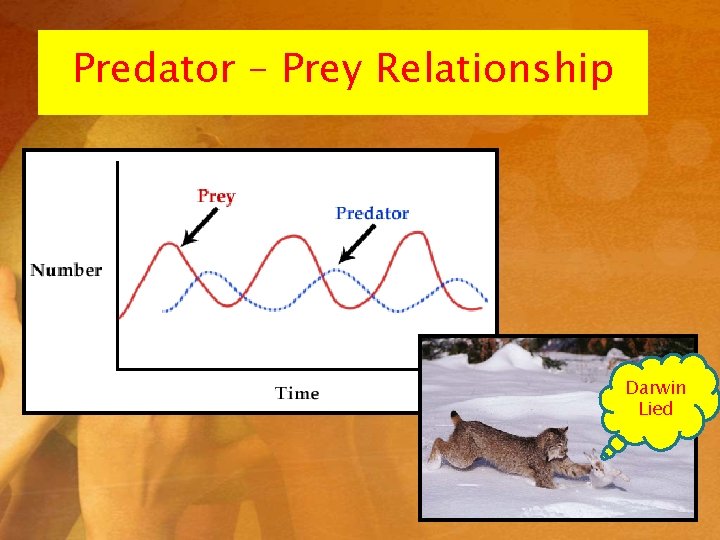 Predator – Prey Relationship Darwin Lied Predator – Prey Relationship Darwin Lied