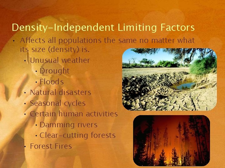 Density-Independent Limiting Factors • Affects all populations the same no matter what its size Density-Independent Limiting Factors • Affects all populations the same no matter what its size