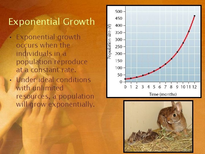 Exponential Growth • Exponential growth occurs when the individuals in a population reproduce at Exponential Growth • Exponential growth occurs when the individuals in a population reproduce at