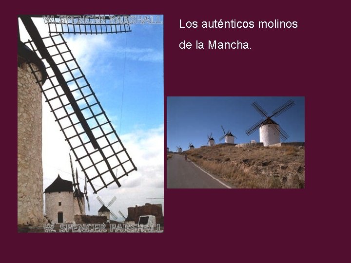 Los auténticos molinos de la Mancha. 