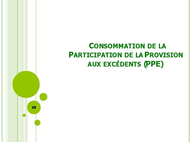  CONSOMMATION DE LA PARTICIPATION DE LA PROVISION AUX EXCÉDENTS (PPE) 28 