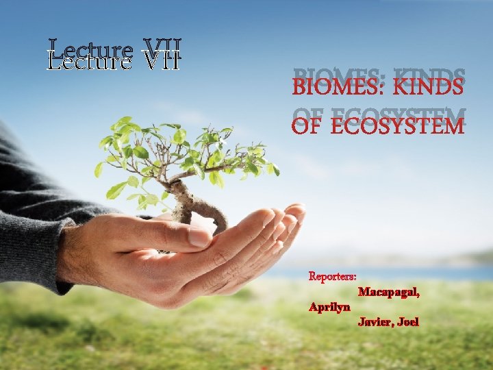 Lecture VII BIOMES: KINDS OF ECOSYSTEM Macapagal, Aprilyn Javier, Joel 