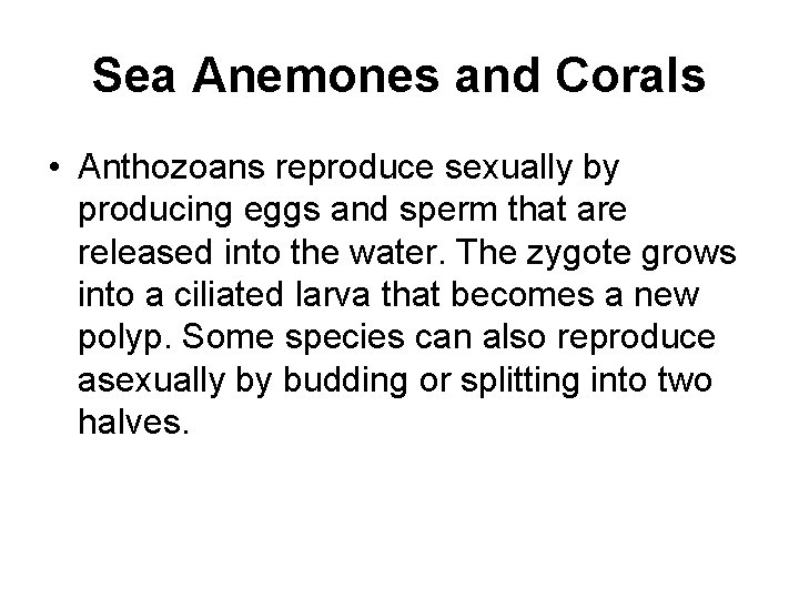 Sea Anemones and Corals • Anthozoans reproduce sexually by producing eggs and sperm that