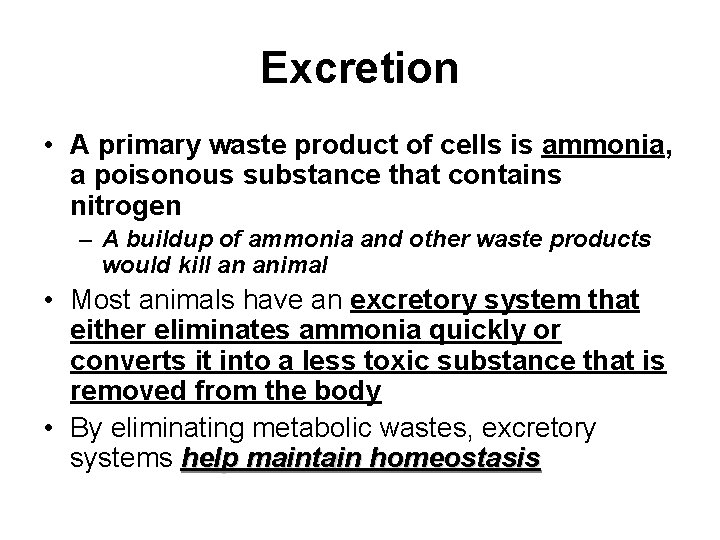 Excretion • A primary waste product of cells is ammonia, a poisonous substance that