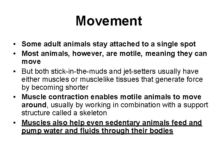 Movement • Some adult animals stay attached to a single spot • Most animals,