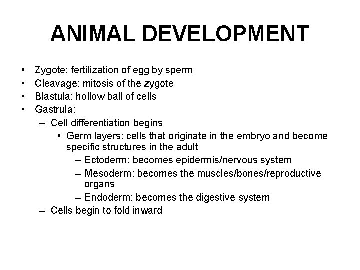 ANIMAL DEVELOPMENT • • Zygote: fertilization of egg by sperm Cleavage: mitosis of the