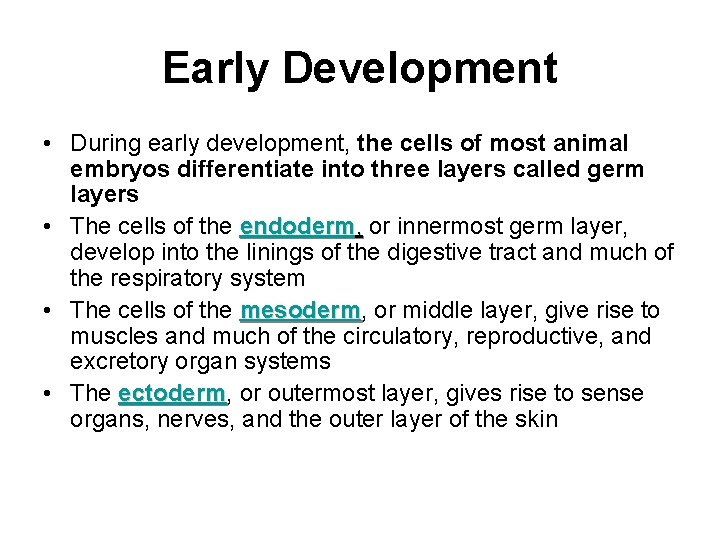 Early Development • During early development, the cells of most animal embryos differentiate into