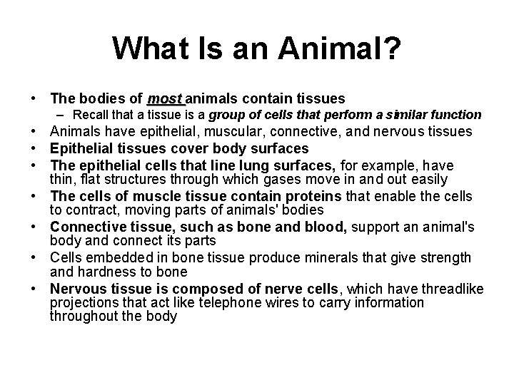 What Is an Animal? • The bodies of most animals contain tissues – Recall