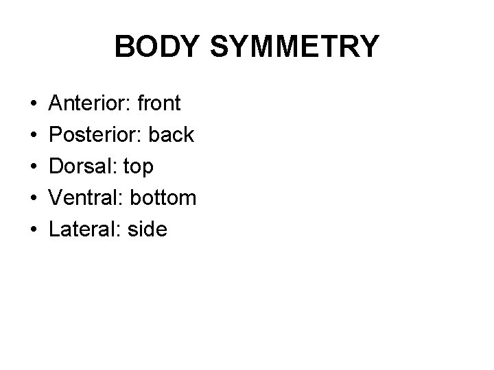 BODY SYMMETRY • • • Anterior: front Posterior: back Dorsal: top Ventral: bottom Lateral: