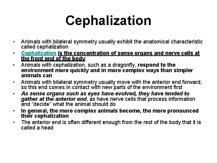 Cephalization • • Animals with bilateral symmetry usually exhibit the anatomical characteristic called cephalization