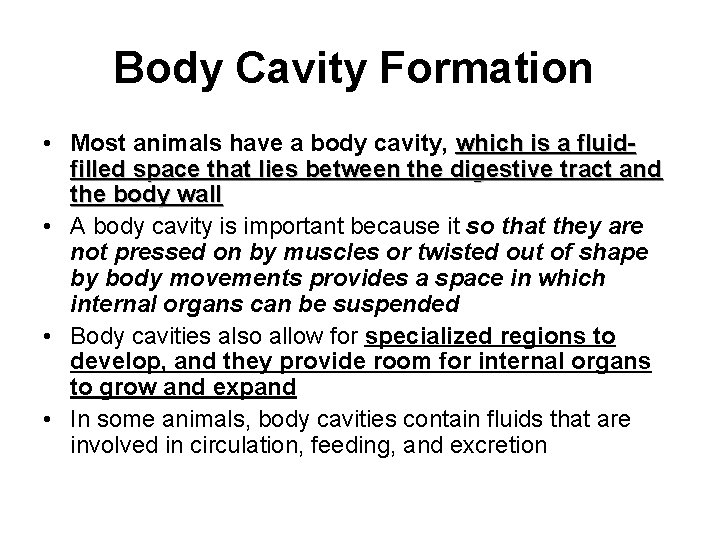 Body Cavity Formation • Most animals have a body cavity, which is a fluidfilled