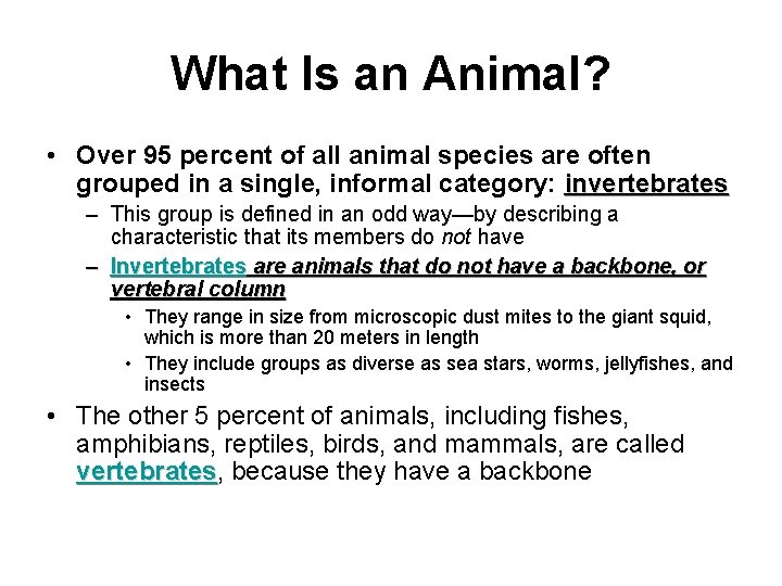 What Is an Animal? • Over 95 percent of all animal species are often