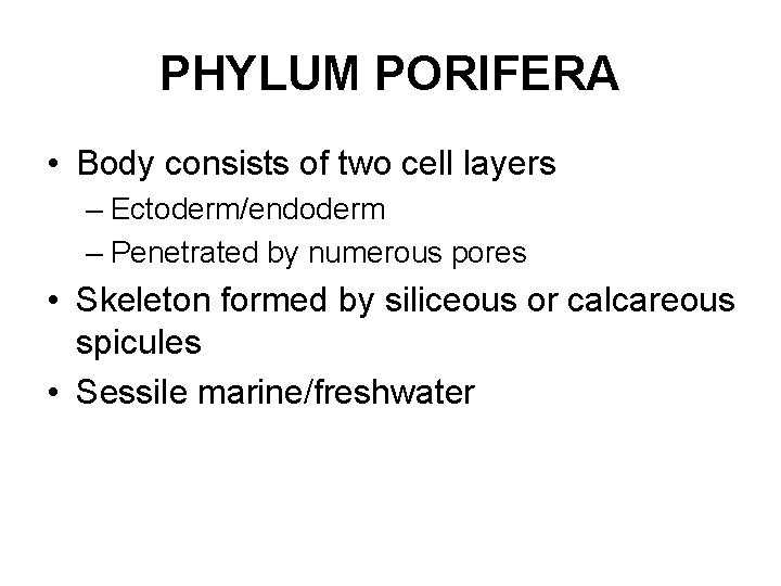 PHYLUM PORIFERA • Body consists of two cell layers – Ectoderm/endoderm – Penetrated by