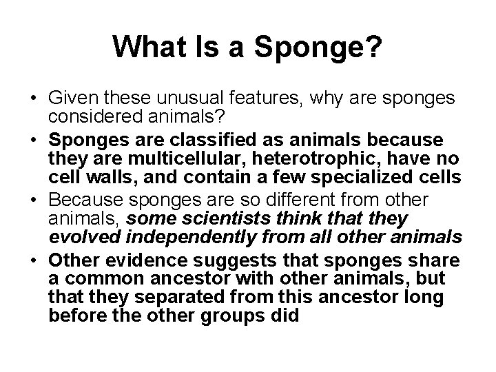 What Is a Sponge? • Given these unusual features, why are sponges considered animals?