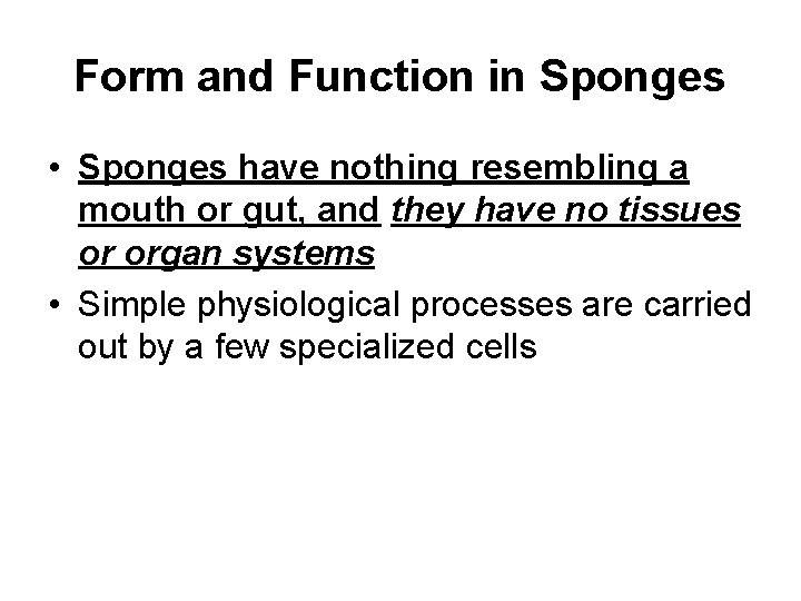 Form and Function in Sponges • Sponges have nothing resembling a mouth or gut,