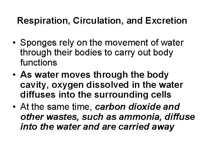 Respiration, Circulation, and Excretion • Sponges rely on the movement of water through their