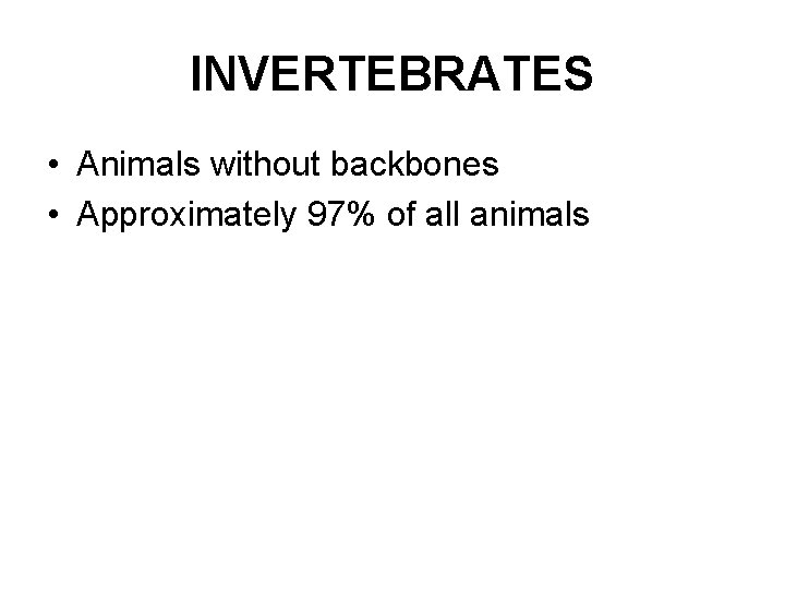 INVERTEBRATES • Animals without backbones • Approximately 97% of all animals 