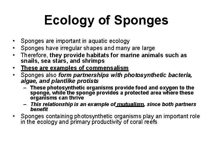 Ecology of Sponges • Sponges are important in aquatic ecology • Sponges have irregular