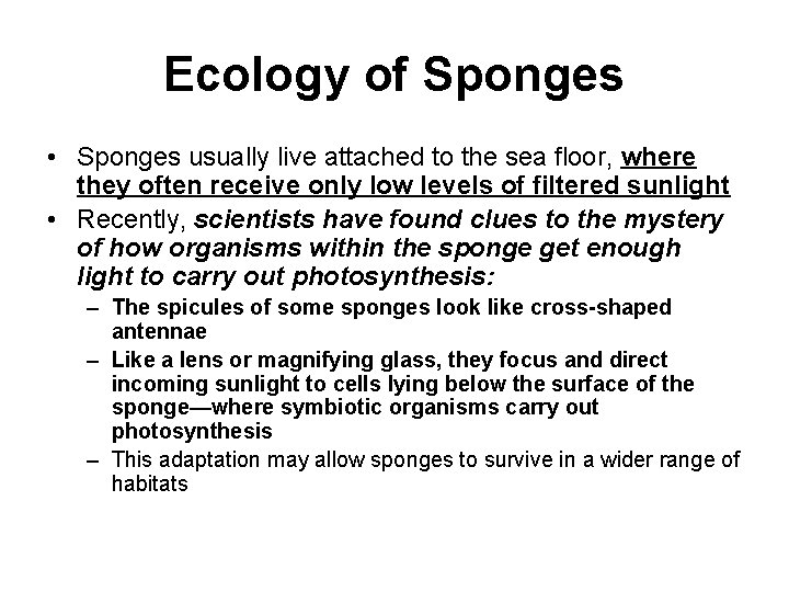 Ecology of Sponges • Sponges usually live attached to the sea floor, where they