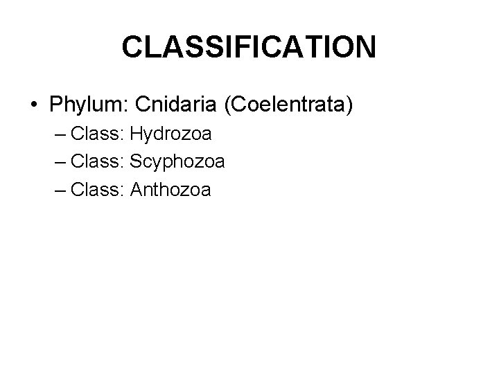 CLASSIFICATION • Phylum: Cnidaria (Coelentrata) – Class: Hydrozoa – Class: Scyphozoa – Class: Anthozoa