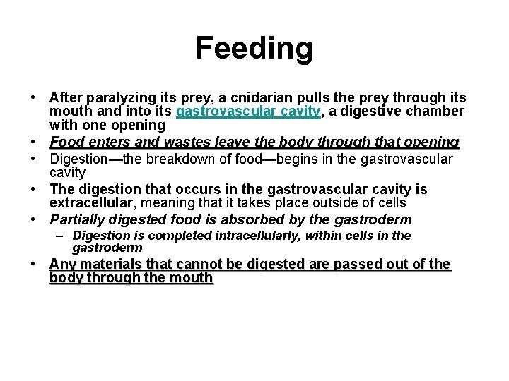 Feeding • After paralyzing its prey, a cnidarian pulls the prey through its mouth